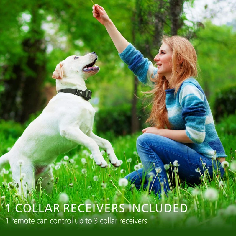 F-color collar de entrenamiento para perro, recargable e impermeable, collar de choque para perros con mando a distancia, 2600 pies, con luz LED vibrante de choque 4 modos para perros pequeños, medianos y grandes, color negro