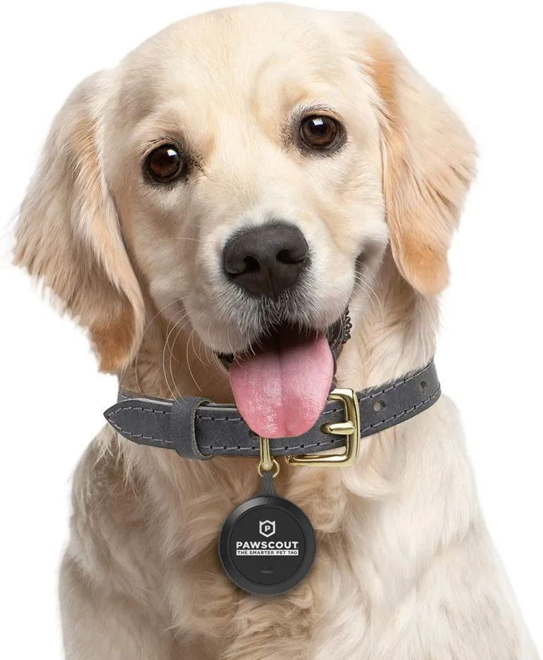 Pawscout - Registro inteligente para mascotas (Bluetooth, no GPS), perfil médico, correa virtual para mascotas al aire libre, rastreador de caminos, puntos de interés para mascotas, sin tasas mensuales