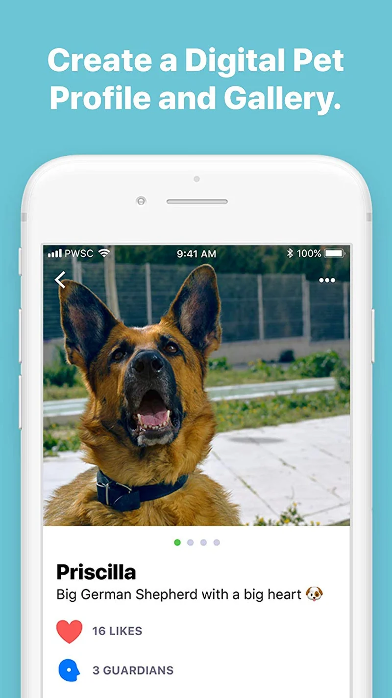 Pawscout - Registro inteligente para mascotas (Bluetooth, no GPS), perfil médico, correa virtual para mascotas al aire libre, rastreador de caminos, puntos de interés para mascotas, sin tasas mensuales