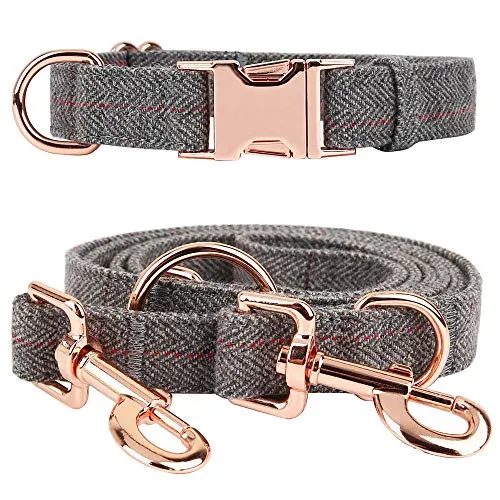 KUYOUGOU - Collar y correa para perro (6.6 ft), diseño elegante con juego de oro rosa, 3 longitudes ajustables, para perros pequeños a grandes