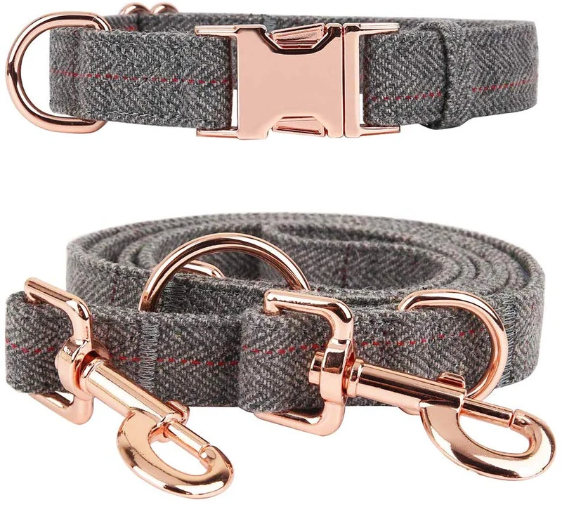 KUYOUGOU - Collar y correa para perro (6.6 ft), diseño elegante con juego de oro rosa, 3 longitudes ajustables, para perros pequeños a grandes