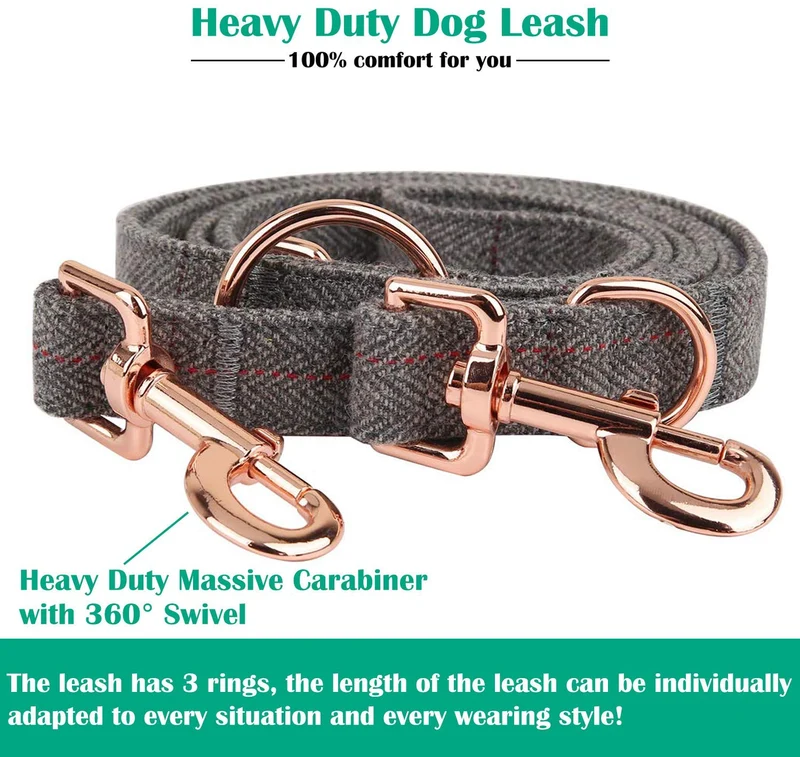 KUYOUGOU - Collar y correa para perro (6.6 ft), diseño elegante con juego de oro rosa, 3 longitudes ajustables, para perros pequeños a grandes