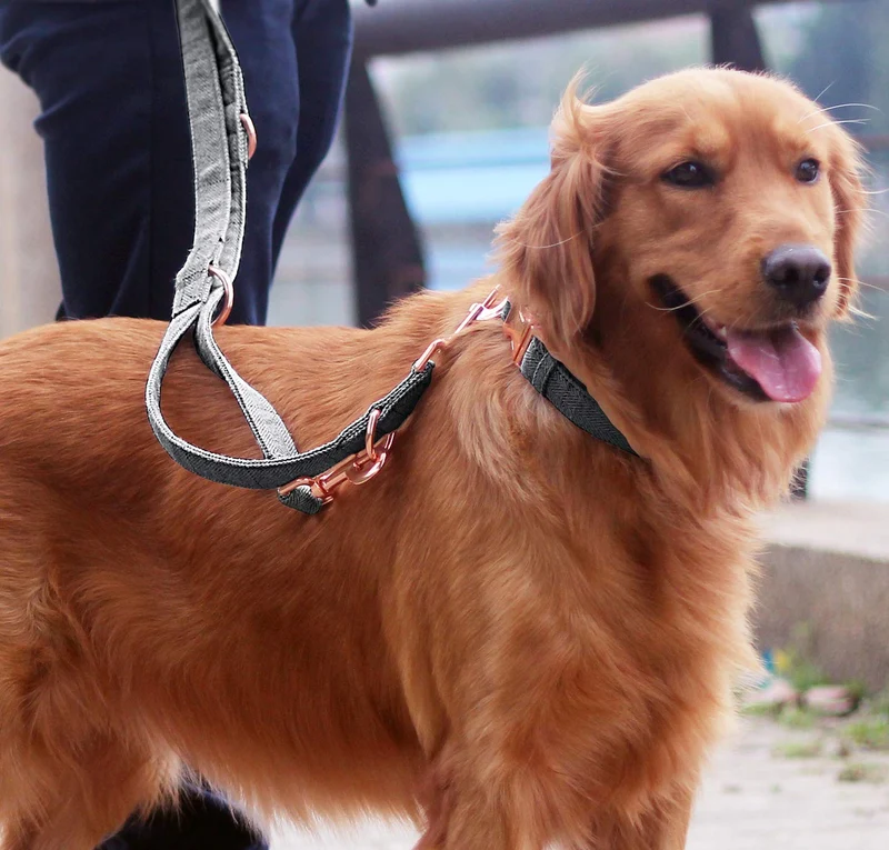 KUYOUGOU - Collar y correa para perro (6.6 ft), diseño elegante con juego de oro rosa, 3 longitudes ajustables, para perros pequeños a grandes