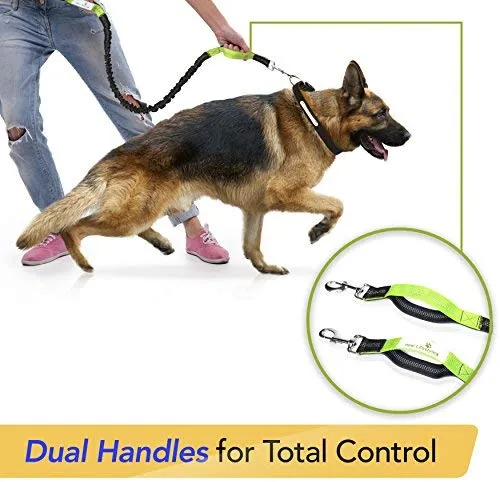 Paw Lifestyles Correa para perro retráctil con manos libres, con funda para smartphone, correa de cintura elástica de doble asa para perros grandes de hasta 150 libras