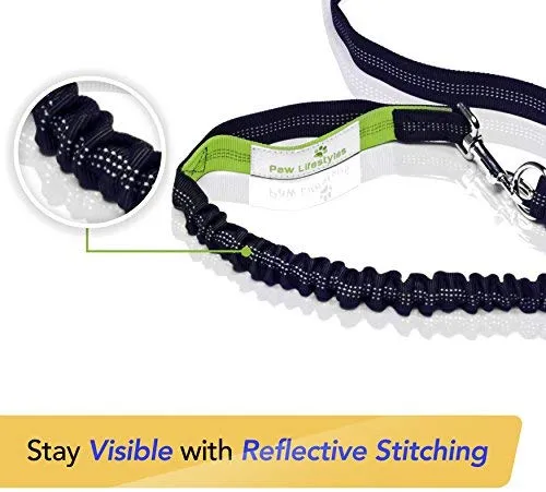Paw Lifestyles Correa para perro retráctil con manos libres, con funda para smartphone, correa de cintura elástica de doble asa para perros grandes de hasta 150 libras