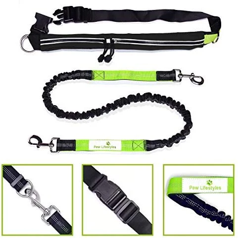 Paw Lifestyles Correa para perro retráctil con manos libres, con funda para smartphone, correa de cintura elástica de doble asa para perros grandes de hasta 150 libras