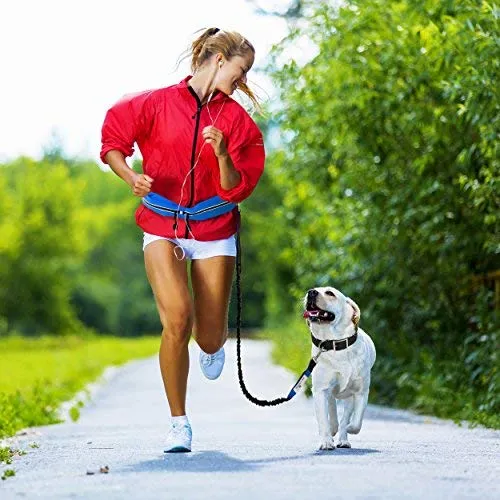 Paw Lifestyles Correa para perro retráctil con manos libres, con funda para smartphone, correa de cintura elástica de doble asa para perros grandes de hasta 150 libras