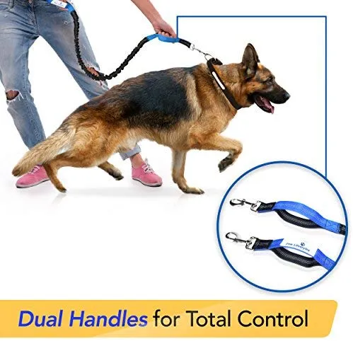 Paw Lifestyles Correa para perro retráctil con manos libres, con funda para smartphone, correa de cintura elástica de doble asa para perros grandes de hasta 150 libras