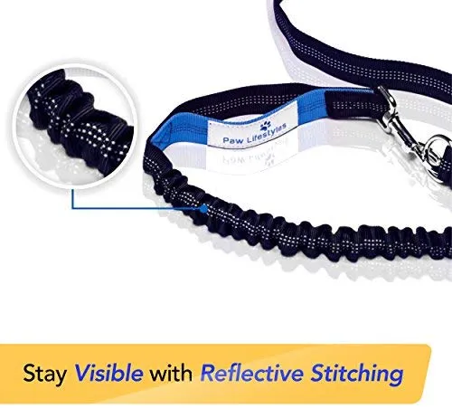 Paw Lifestyles Correa para perro retráctil con manos libres, con funda para smartphone, correa de cintura elástica de doble asa para perros grandes de hasta 150 libras