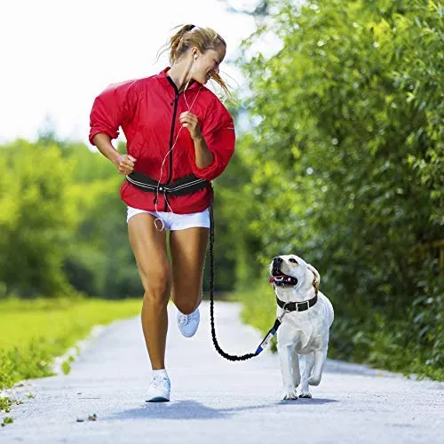Paw Lifestyles Correa para perro retráctil con manos libres, con funda para smartphone, correa de cintura elástica de doble asa para perros grandes de hasta 150 libras