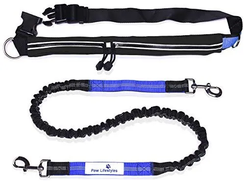 Paw Lifestyles Correa para perro retráctil con manos libres, con funda para smartphone, correa de cintura elástica de doble asa para perros grandes de hasta 150 libras