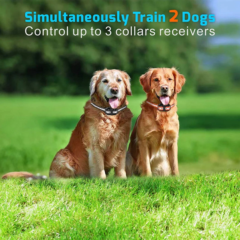 Veckle Collar de entrenamiento para perro, collar de choque recargable de 2600 pies para 2 perros, collar de choque impermeable con mando a distancia, luz LED, pitido, cargador, collar electrónico de vibración para perros grandes y medianos