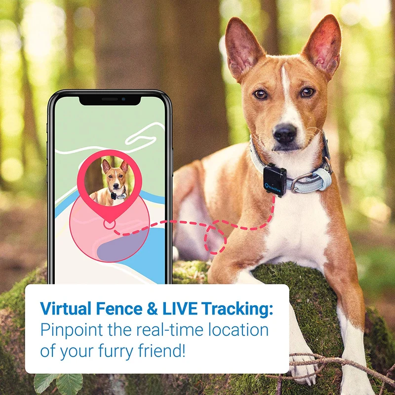 Rastreador de perro Tractive 3G GPS, dispositivo de rastreo para perros con alcance ilimitado