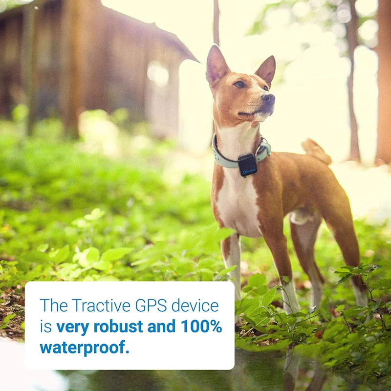 Rastreador de perro Tractive 3G GPS, dispositivo de rastreo para perros con alcance ilimitado