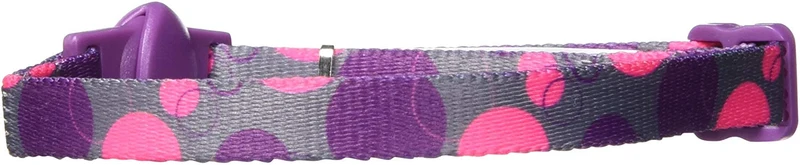 Aspen Pet collar de retención de moda