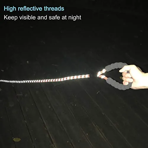 Haapaw 2 paquetes de correa para perro con cómodo mango acolchado reflectante, cuerda de escalada de montaña, correas de entrenamiento para perros grandes, medianos y pequeños (6 pies)