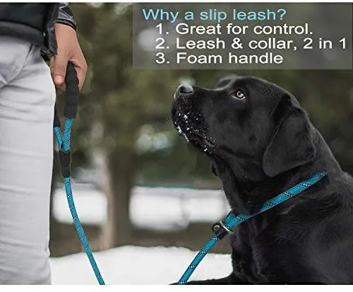 Haapaw 2 paquetes de correa para perro con cómodo mango acolchado reflectante, cuerda de escalada de montaña, correas de entrenamiento para perros grandes, medianos y pequeños (6 pies)