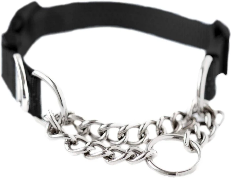 Collar de entrenamiento Mighty Paw, collar Martingale, calidad premium, limitado, collar cincha, collar reflectante para perros