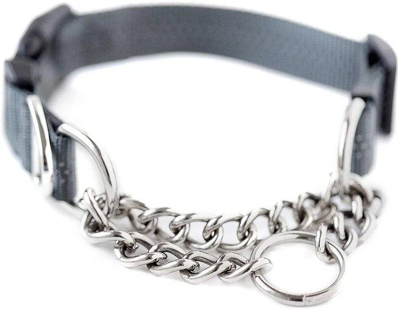 Collar de entrenamiento Mighty Paw, collar Martingale, calidad premium, limitado, collar cincha, collar reflectante para perros