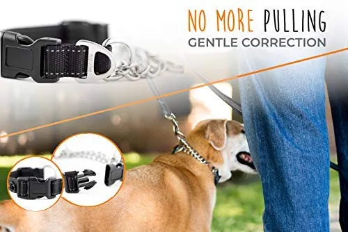 Collar de entrenamiento Mighty Paw, collar Martingale, calidad premium, limitado, collar cincha, collar reflectante para perros
