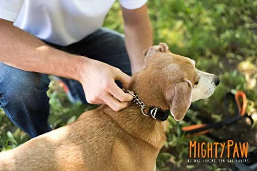Collar de entrenamiento Mighty Paw, collar Martingale, calidad premium, limitado, collar cincha, collar reflectante para perros