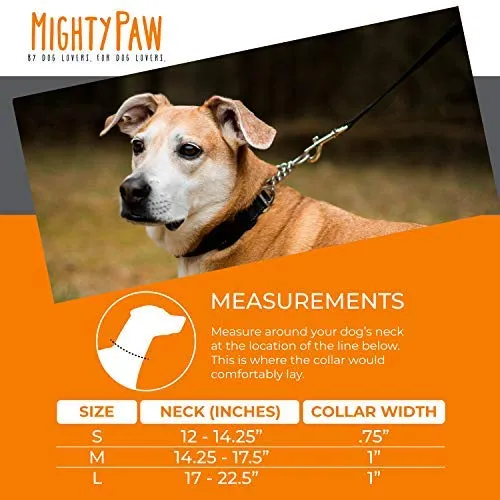 Collar de entrenamiento Mighty Paw, collar Martingale, calidad premium, limitado, collar cincha, collar reflectante para perros