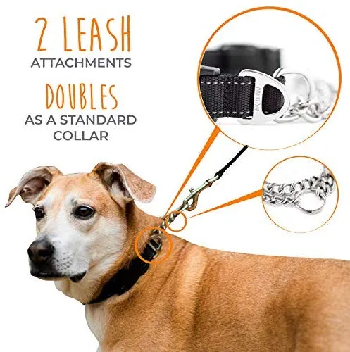 Collar de entrenamiento Mighty Paw, collar Martingale, calidad premium, limitado, collar cincha, collar reflectante para perros