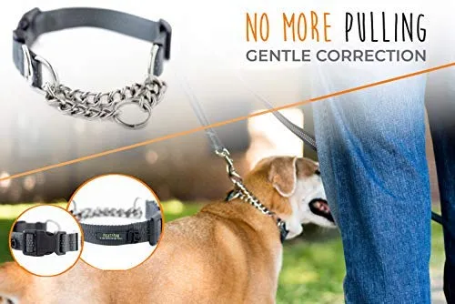 Collar de entrenamiento Mighty Paw, collar Martingale, calidad premium, limitado, collar cincha, collar reflectante para perros