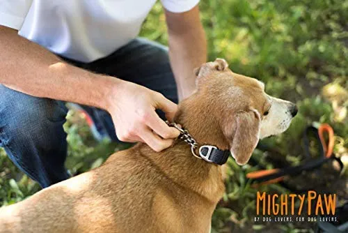 Collar de entrenamiento Mighty Paw, collar Martingale, calidad premium, limitado, collar cincha, collar reflectante para perros