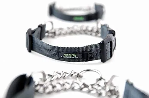 Collar de entrenamiento Mighty Paw, collar Martingale, calidad premium, limitado, collar cincha, collar reflectante para perros
