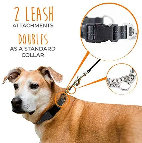 Collar de entrenamiento Mighty Paw, collar Martingale, calidad premium, limitado, collar cincha, collar reflectante para perros