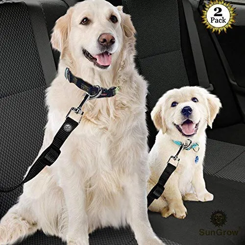 Cinturones de asiento de coche para perros y gatos – Evita el estrés de viaje – permite respirar aire fresco sin mascotas saltando – Soporta todos los coches