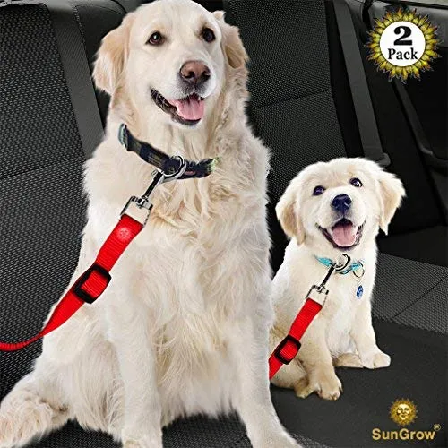 Cinturones de asiento de coche para perros y gatos – Evita el estrés de viaje – permite respirar aire fresco sin mascotas saltando – Soporta todos los coches