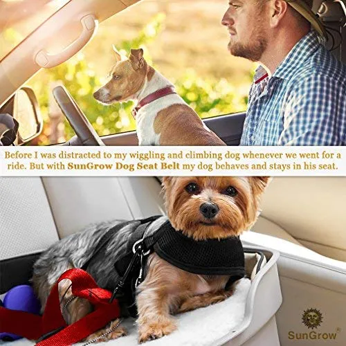 Cinturones de asiento de coche para perros y gatos – Evita el estrés de viaje – permite respirar aire fresco sin mascotas saltando – Soporta todos los coches