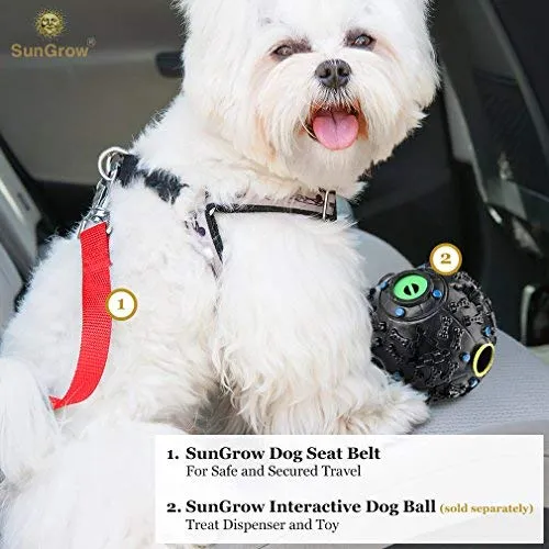 Cinturones de asiento de coche para perros y gatos – Evita el estrés de viaje – permite respirar aire fresco sin mascotas saltando – Soporta todos los coches