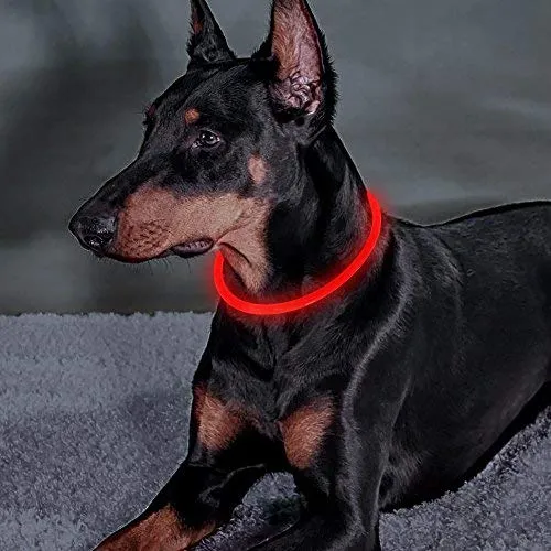 Collar de perro recargable por USB, LED, brilla en la oscuridad, collar para mascotas, resistente al agua, cortable, de TPU, para perros pequeños, medianos y grandes