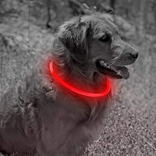 Collar de perro recargable por USB, LED, brilla en la oscuridad, collar para mascotas, resistente al agua, cortable, de TPU, para perros pequeños, medianos y grandes