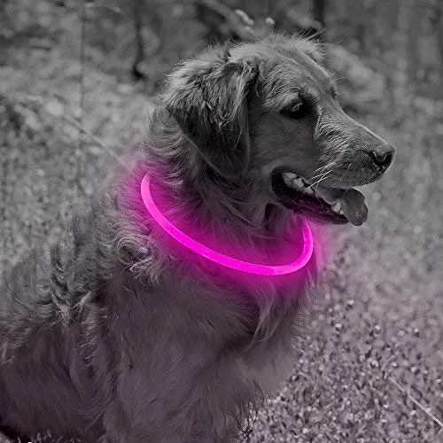 Collar de perro recargable por USB, LED, brilla en la oscuridad, collar para mascotas, resistente al agua, cortable, de TPU, para perros pequeños, medianos y grandes