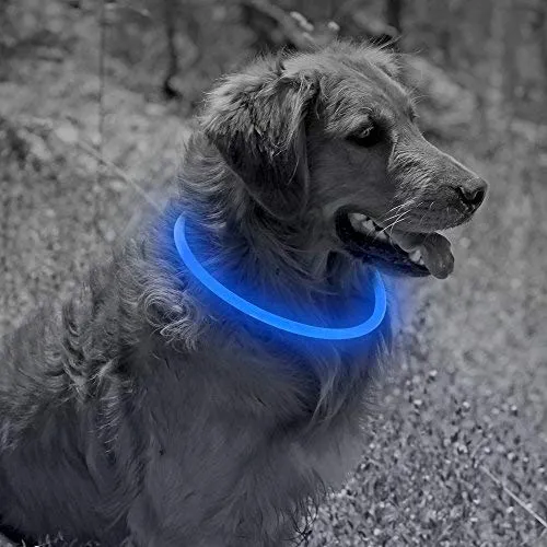 Collar de perro recargable por USB, LED, brilla en la oscuridad, collar para mascotas, resistente al agua, cortable, de TPU, para perros pequeños, medianos y grandes