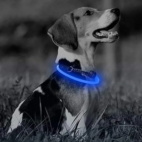 Collar de perro recargable por USB, LED, brilla en la oscuridad, collar para mascotas, resistente al agua, cortable, de TPU, para perros pequeños, medianos y grandes