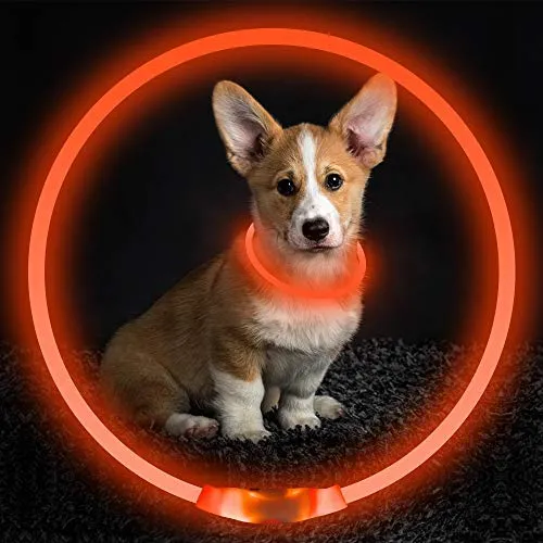 Collar de perro recargable por USB, LED, brilla en la oscuridad, collar para mascotas, resistente al agua, cortable, de TPU, para perros pequeños, medianos y grandes