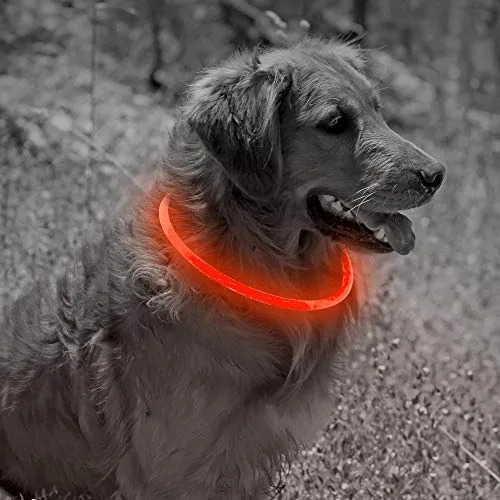 Collar de perro recargable por USB, LED, brilla en la oscuridad, collar para mascotas, resistente al agua, cortable, de TPU, para perros pequeños, medianos y grandes