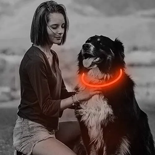 Collar de perro recargable por USB, LED, brilla en la oscuridad, collar para mascotas, resistente al agua, cortable, de TPU, para perros pequeños, medianos y grandes