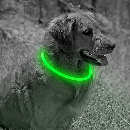 Collar de perro recargable por USB, LED, brilla en la oscuridad, collar para mascotas, resistente al agua, cortable, de TPU, para perros pequeños, medianos y grandes
