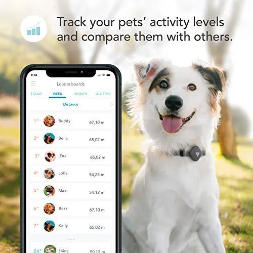 Findster Duo+ Pet Tracker Free of Monthly Fees - GPS Tracking Collar for Dogs and Cats & Pet Activity Monitor
