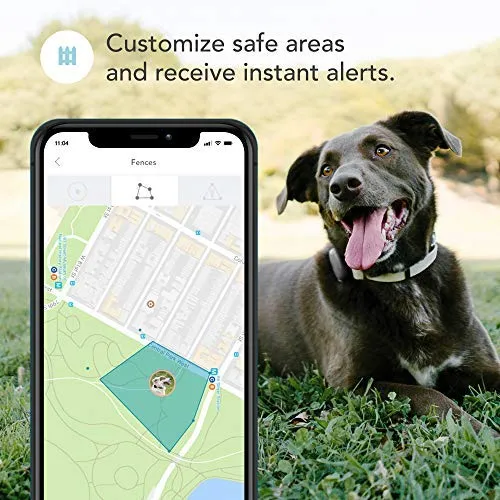 Findster Duo+ Pet Tracker Free of Monthly Fees - GPS Tracking Collar for Dogs and Cats & Pet Activity Monitor