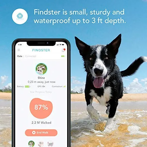 Findster Duo+ Pet Tracker Free of Monthly Fees - GPS Tracking Collar for Dogs and Cats & Pet Activity Monitor