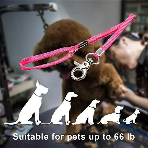 OPETS - Trabilla de aseo para perros, nailon resistente, para baño de mascotas (4 unidades, 22 pulgadas)