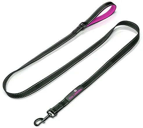 Correa para perro resistente Paw Lifestyles, 0.11 pulgadas de grosor, 6 ft de largo, mango acolchado para mayor comodidad, perfecta para perros medianos y grandes