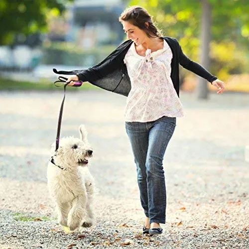 Correa para perro resistente Paw Lifestyles, 0.11 pulgadas de grosor, 6 ft de largo, mango acolchado para mayor comodidad, perfecta para perros medianos y grandes